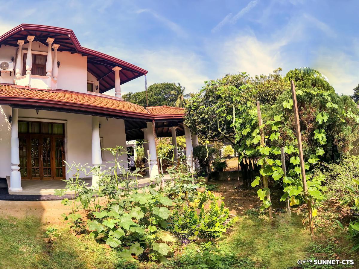 Ceylon Pearlwing Resort 尼甘布 外观 照片