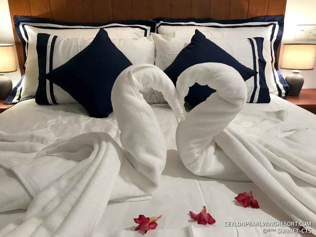 Ceylon Pearlwing Resort 尼甘布 外观 照片